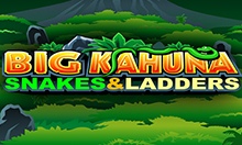 Big Kahuna - Snakes and Ladders