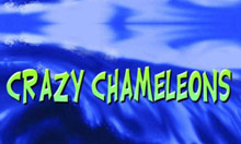 Play Crazy Chameleons crazy-chameleons