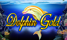 dolphin gold