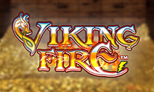 Awesome Customer Services Viking Fires